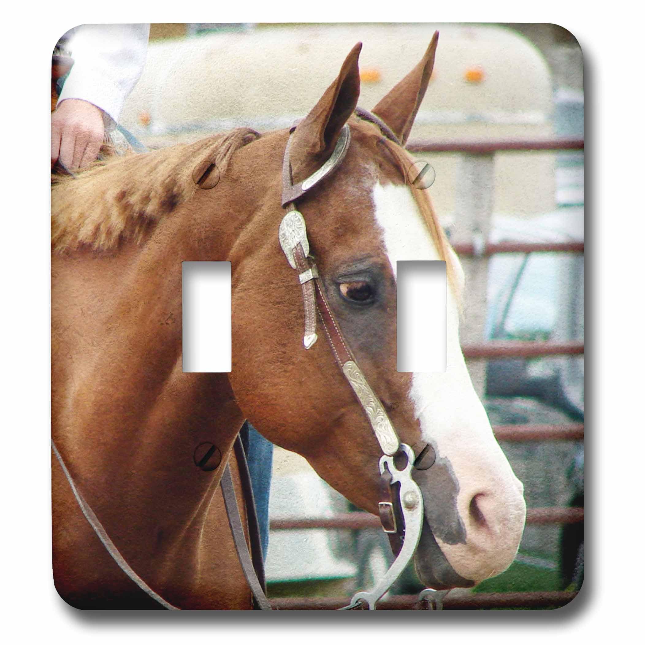Interrupteur à bascule double Western Horse Show 3dRose lsp_240270_2 multicolore pour la maison