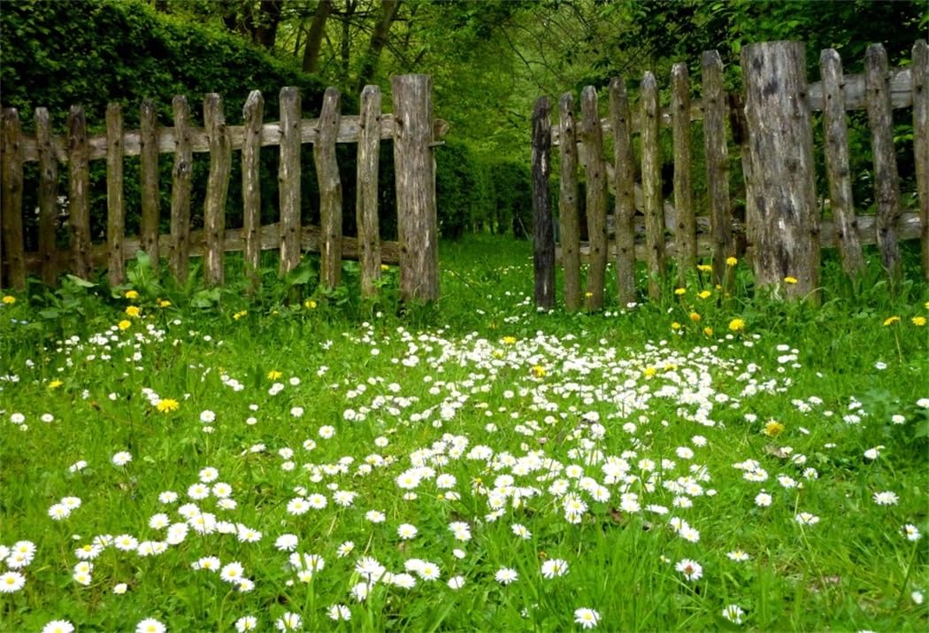 AOFOTO 8x6ft Spring Garden Daisy Flower Backdrop Rustic Wood Fence Summer Meadow Photography Background Forest Wonderland Grass Florets Country Hiking