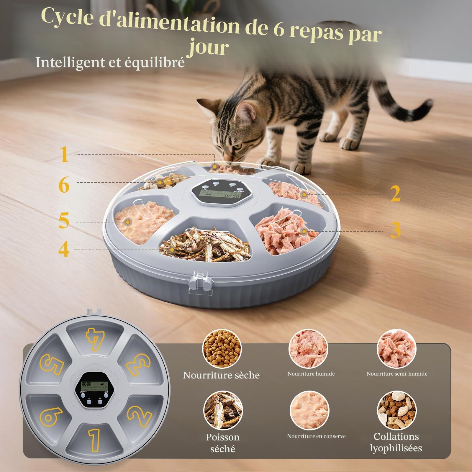 Zyncove Distributeur Automatique de Nourriture Humide pour Chat avec Refroidissement : Distributeur Automatique Humide pour Chats, Alimentation Automatique pour Chats à Piles – 6 Repas pour Animaux