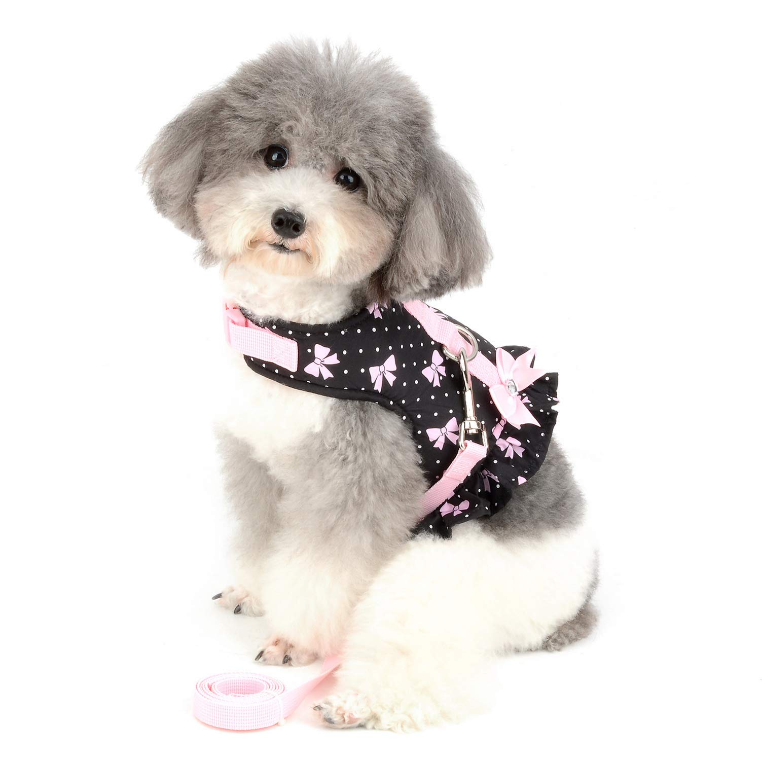 SMALLLEE_LUCKY_STORE Bows Dots Print Cat and Small Dog Harness Dress with Leash Lead for Girls Adjustable No Pull Escape Proof Soft Walking Jacket Waterproof Puppies Kitten Harness Vest,Black S