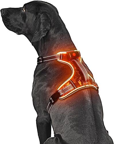 Arnés para perro con luces LED sin tirones con mango suave, arnés recargable con luz para perros medianos (reflectante, ajustable, ligero)