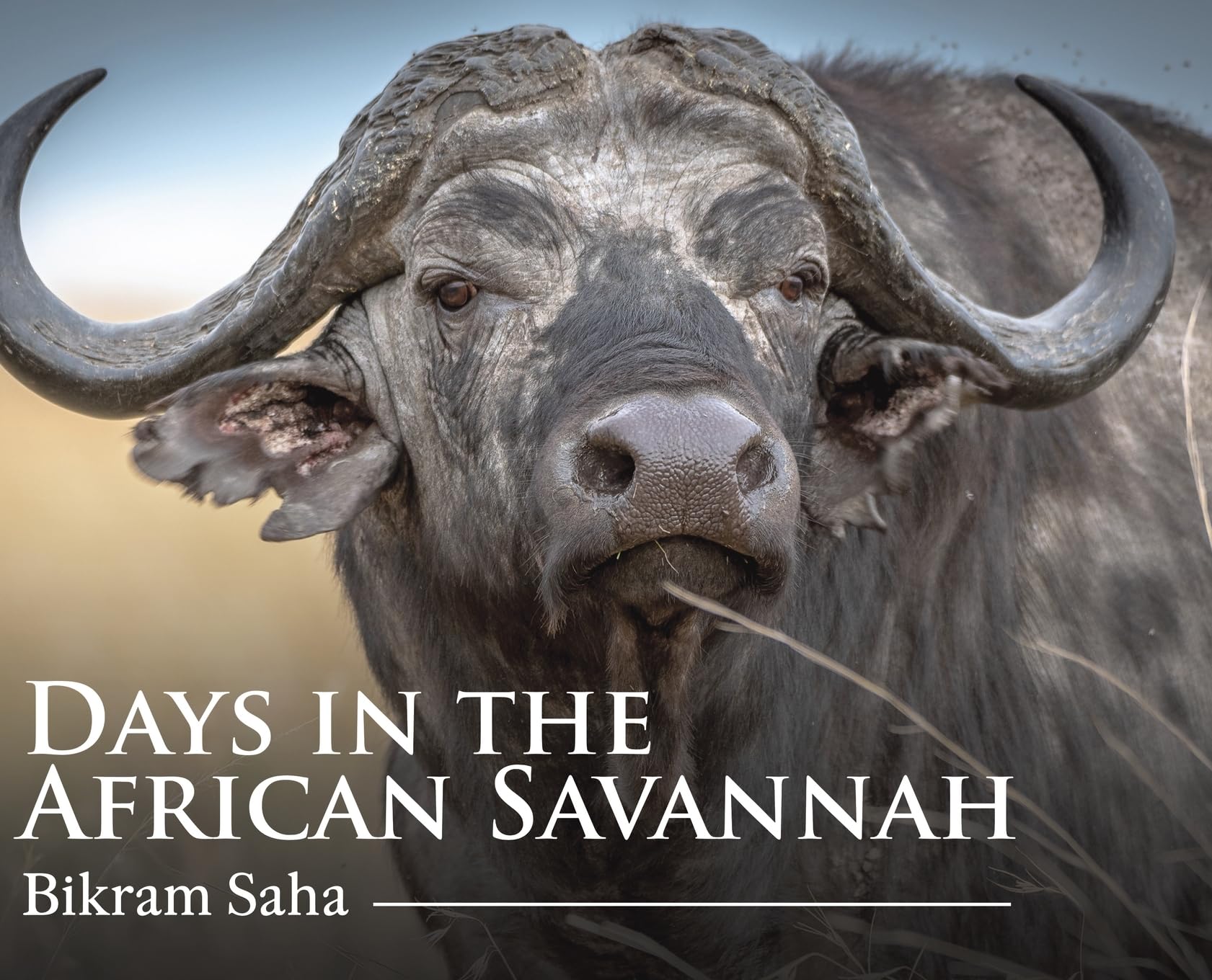 Days in the African Savannah œuvre premium aux finitions d'art pour intérieur exigeant