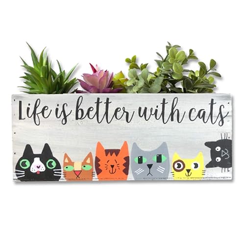 cat lovers store