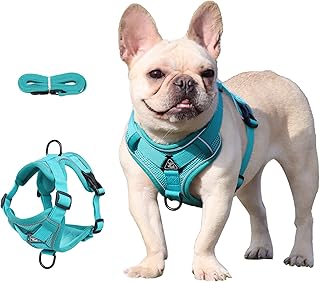 Air-Mesh Breathable Chest Harness, Dog Harness with Lead, Soft, Adjustable, Reflective, Anti-Pull Dog Harness, Adjustable Puppy Harness for Medium, Small, Large Dogs (S) product image