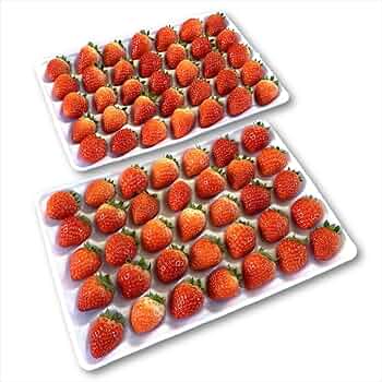 いちごおまとめ11点 716pCOzpphL._UF350,350_QL50_.jpg