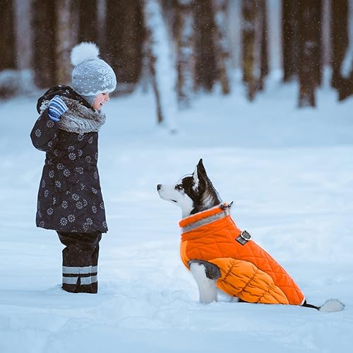 Miniatura 6 de Lelepet Abrigo de invierno cálido para perro, chaqueta para clima frío, chaleco reflectante de cuello alto, chaleco para perro con cuello de felpa,