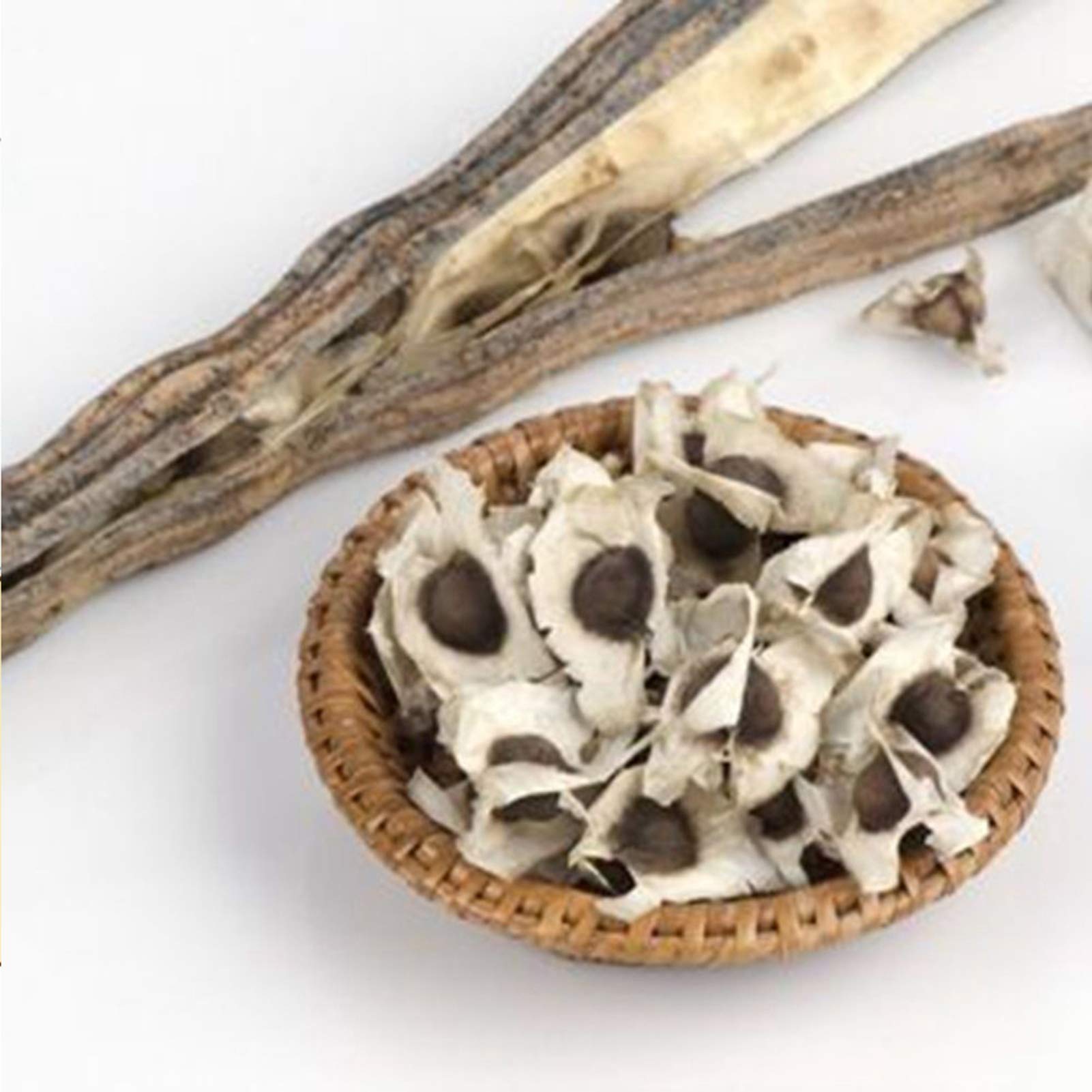 Benoon Semillas De Moringa, 50 Piezas/Bolsa Semillas De Moringa Fragancia Intensa De Moringa Sin OGM Semillas De Moringa De Jardín Saludable Para Jardín Semilla