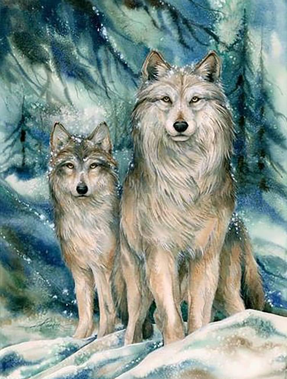 Amazon.com: Focart Diamond Painting, Diamond Art Kits Adults DIY Drill ...