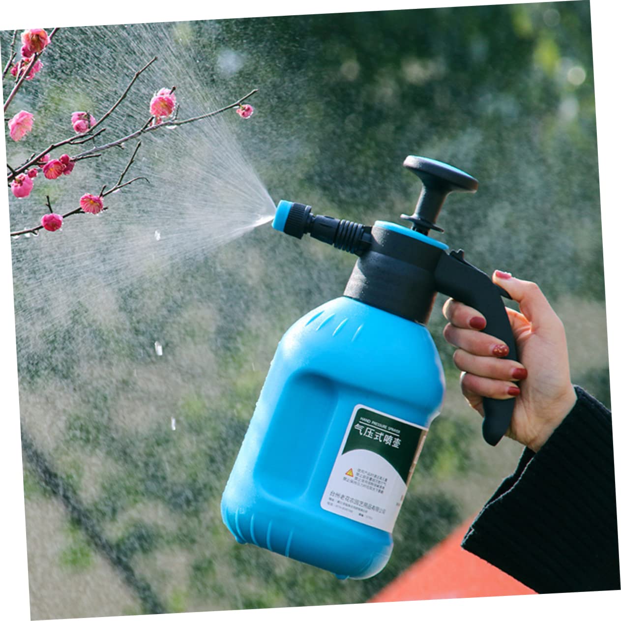 Arrosoir pour Plantes Dintérieur 2 L Pulvérisateur À Pression Dair Brumisateur pour Plantes De Jardin
