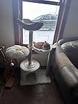 Review Image by Reviewer #458907432