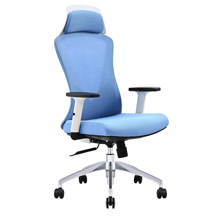 Buy COZ Ergonomic Office Chair w Adjustable Height and Incline, Heavy