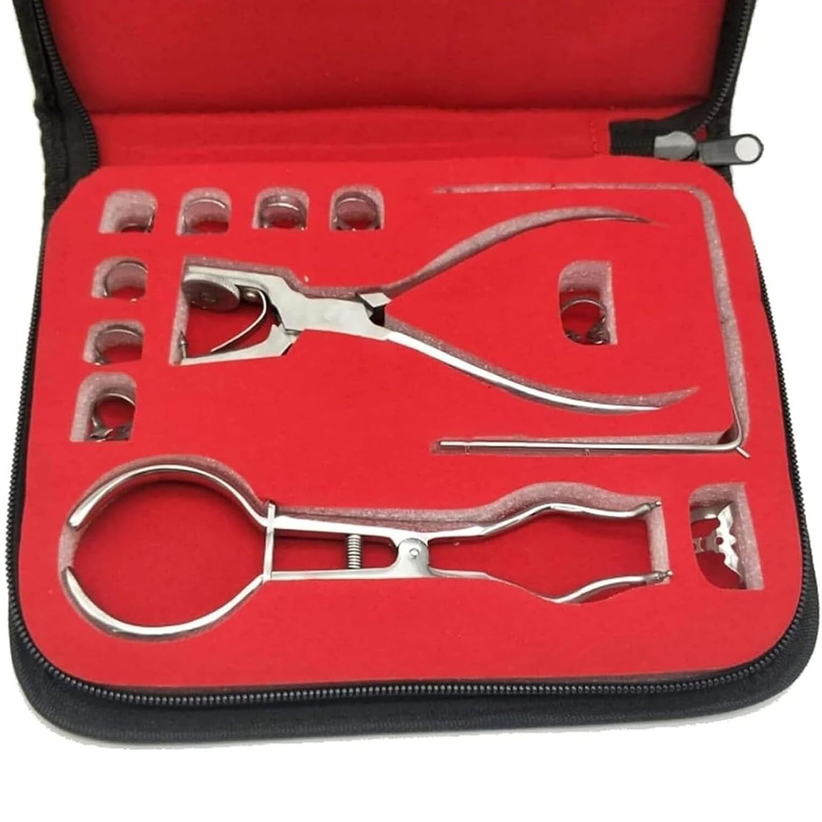 Modelo anatómico humano kit de dique de goma para endodoncia dental con marcos de abrazaderas