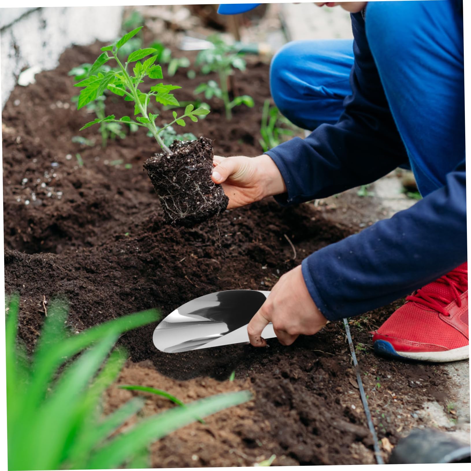 HEMOTON 2Pcs Stainless Steel Gardening Shovel Multi Purpose Soil Loosening Tools for Planting and Transplanting Durable Garden Trowel with Compact Design for Home and Garden Use