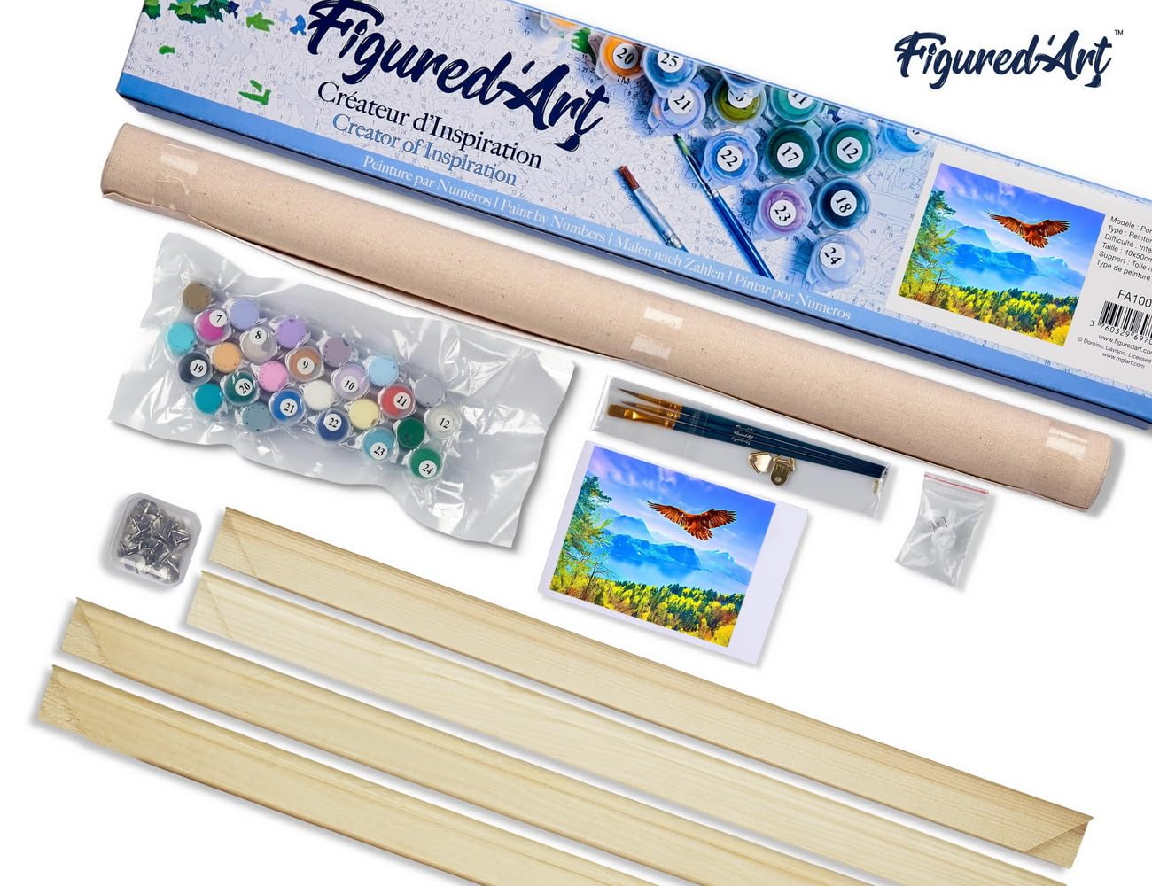 Figured'Art Peinture par Numéro Adulte Tous les oiseaux - Activité Manuelle Kit de Loisir Créatif DIY Numéro d'Art Complet - 40x50cm avec châssis en