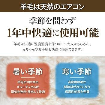 【特価商品】ムートンラグ 天然 オーストラリア産 長毛 1.5匹物 ラグ ネイビ Amazon｜ムートンラグ 天然 オーストラリア産 長毛 1.5匹物 ラグ