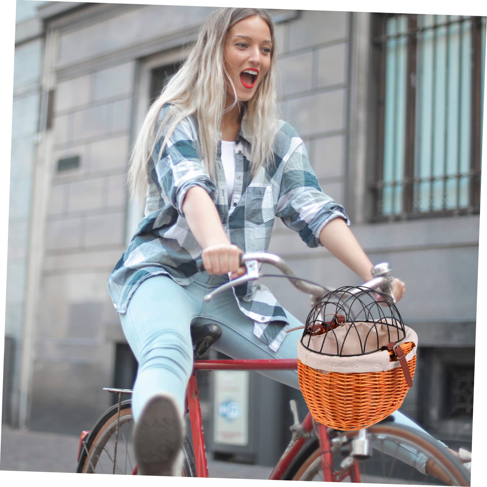 HEMOTON Panier Vélo Osier Tressé pour Animaux Chat Chien Panier De Vélo De Rangement Robuste Installation Facile Et Rapide