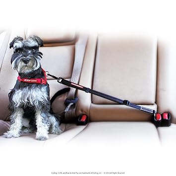 EzyDog Click Adjustable Car Dog Restraint