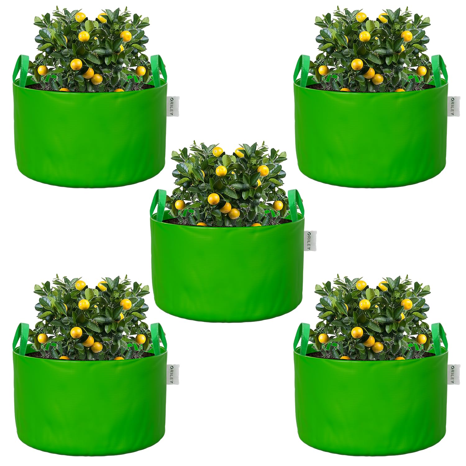 Oriley Grow Bags - Durable Plant Containers -31 Oriley Grow Bags - Durable Plant Containers -31
