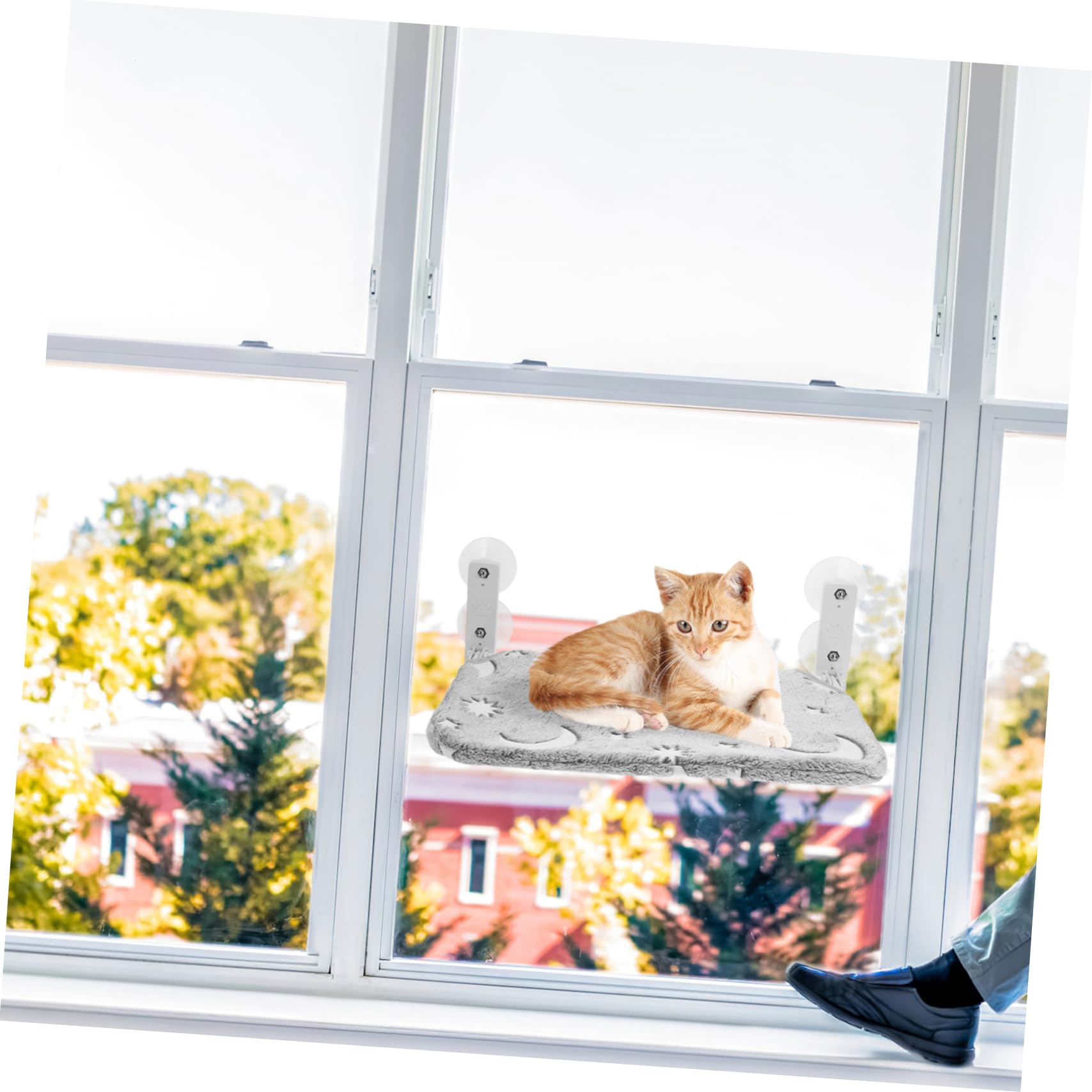 TOYANDONA Hamac de Fenêtre pour Chat, Lit Pliable en Peluche, Motif Étoiles Lumineuses, sans Fil, pour Intérieur, Siège Confortable