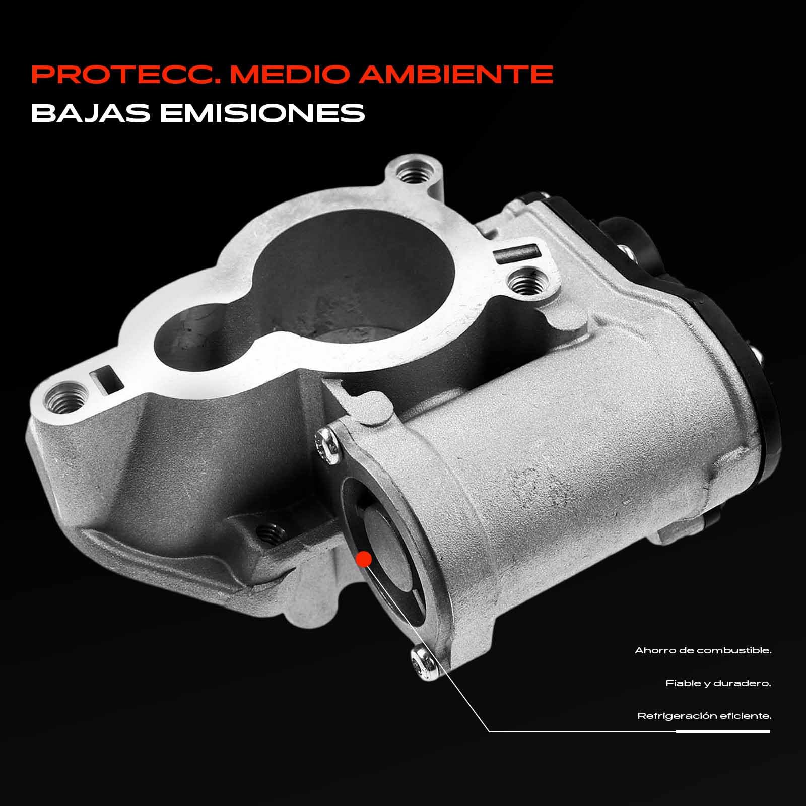 Frankberg Válvula EGR de recirculación de gases de escape 8200327004 | Compatible con: Caja de tráfico II FL, Koleos I HY, Plataforma/chasis Trafic II EL, M.e.g.a.n.e II Estate KM0/1