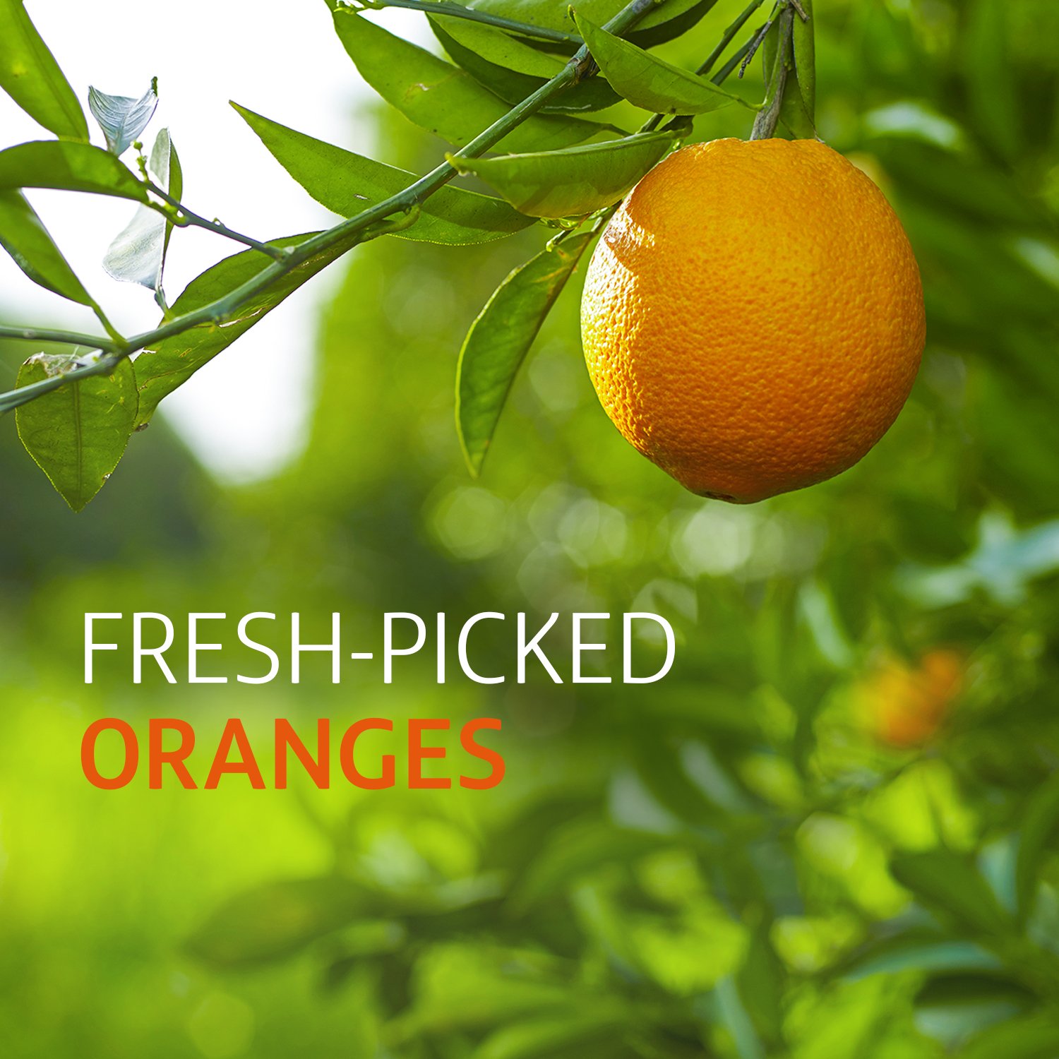 Tropicana Orange Juice No Pulp 89 fl oz bottle — view 6