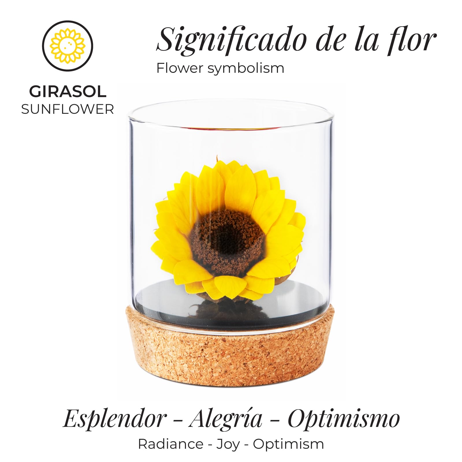 Amoroses Sunflo – Girasol estabilizado flor eterna en tarro de cristal | Idea regalo