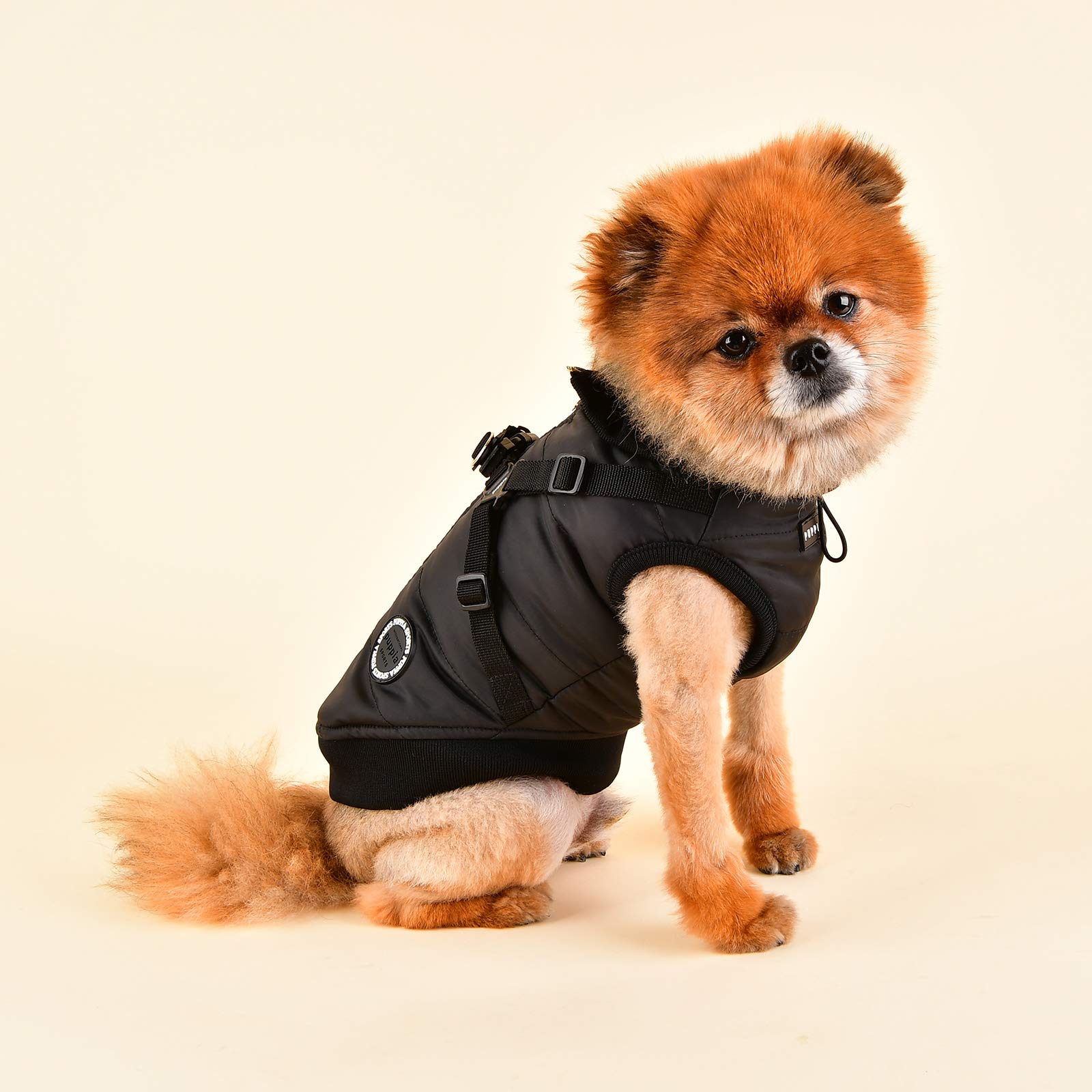Puppia plsd-vt1668-bk-s Frost Pet cappotto, nero, Small