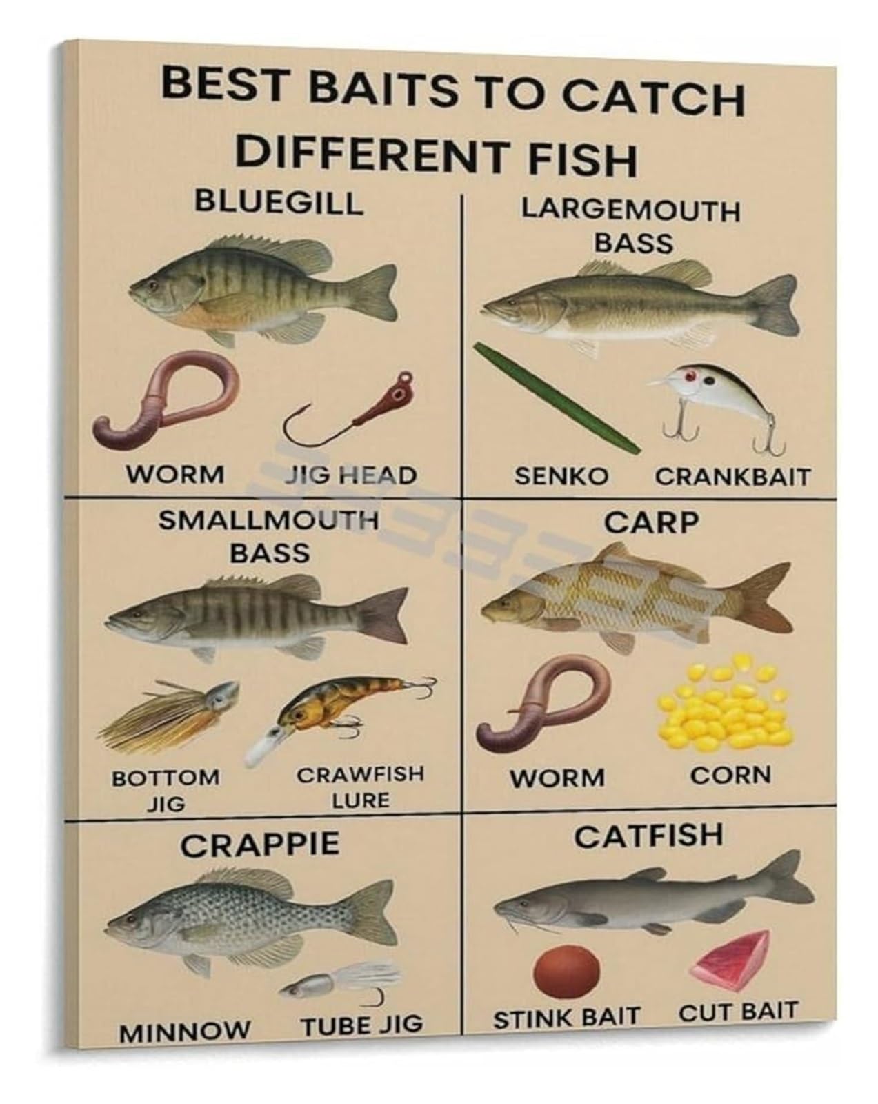 FNYUVNFAF Fishing Guide Educational Poster Knot Tying and Fish Species Illustrated Canvas Wall-Art for Man Cave Unframed,12x18inch(30x45cm)