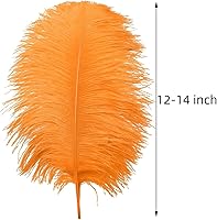 Vista 137 de 24 piezas de plumas de avestruz blanco natural de 10-12 pulgadas (25-30cm) para centros de mesa de bodas y fiestas, arreglos florales y decoración
