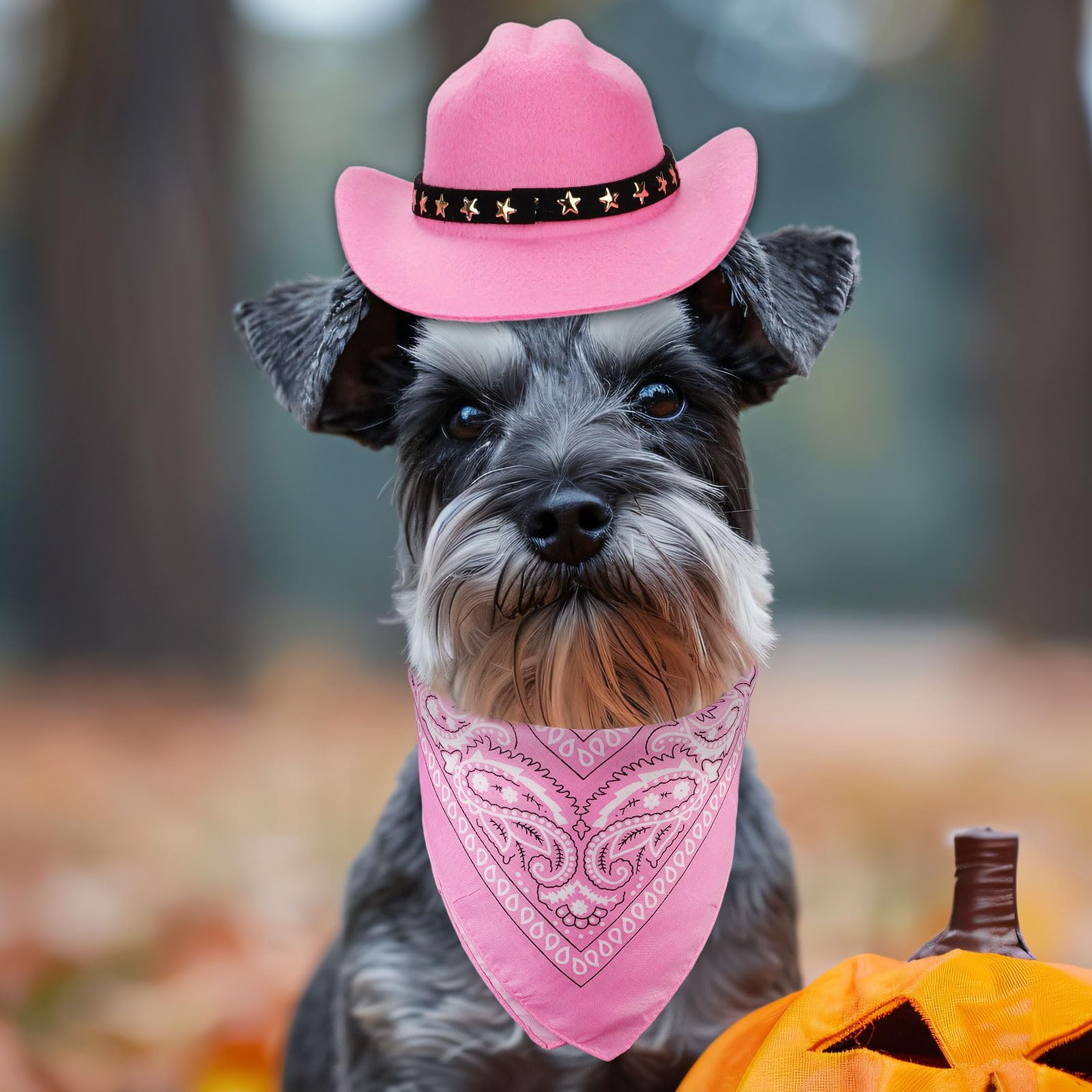 Cowboy-Kostüm Für Kleine Hunde & Katzen – Hut & Bandana, Rosa, Für Halloween & Western-Partys