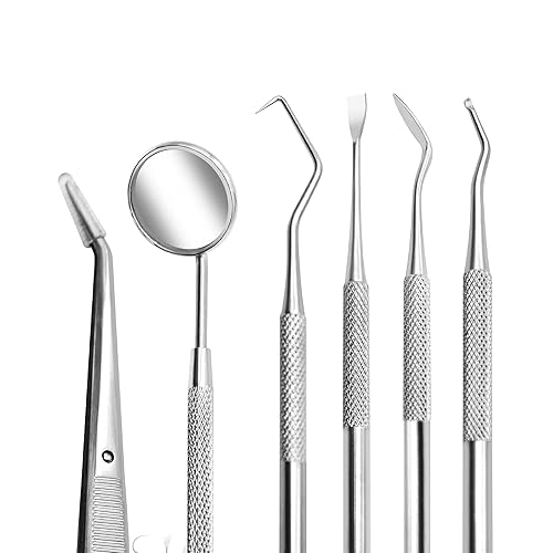 Miniatura 8 de Juego de 5 palillos de dientes portátiles de acero inoxidable