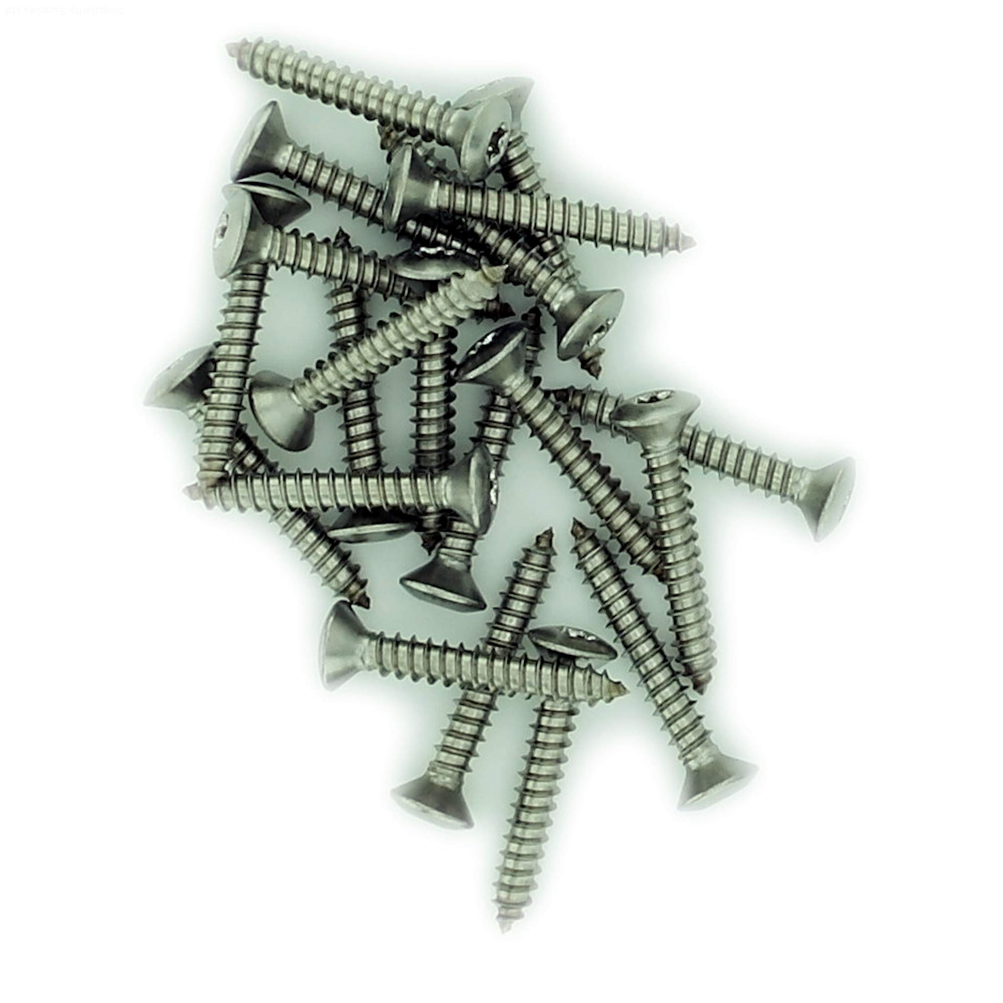 Singularity Supplies Silver No.8 X 0.875 (4.2Mm X 22Mm) Tx Raised Countersunk Self-Tapping Screw - Stainless Steel (A2) (Pack Of 20)