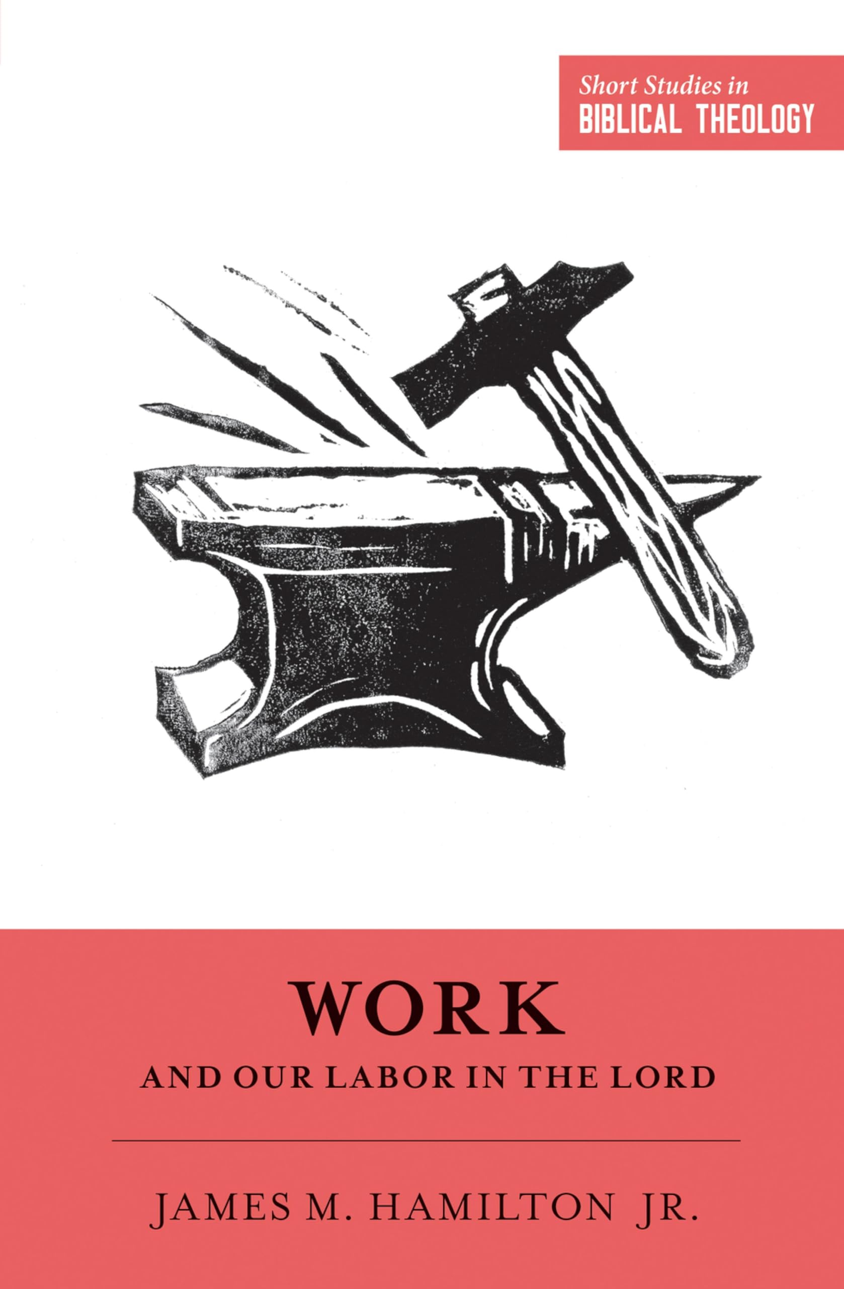 Work and Our Labor in the Lord: SHORT STUD (Short Studies in Biblical Theology)
