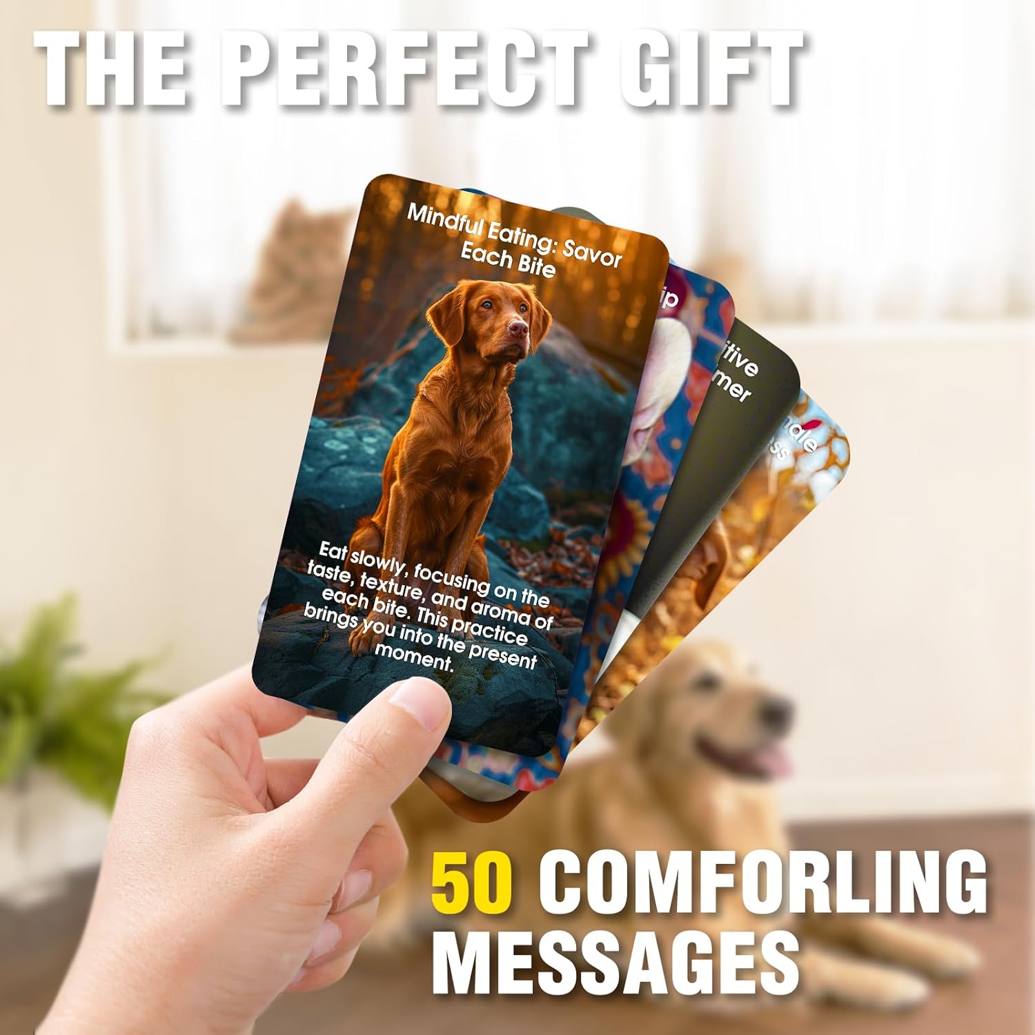 Dogs Against Anxiety Cards, 50 Affirmation Cards for Stress Relief and Self Care Mindfulness