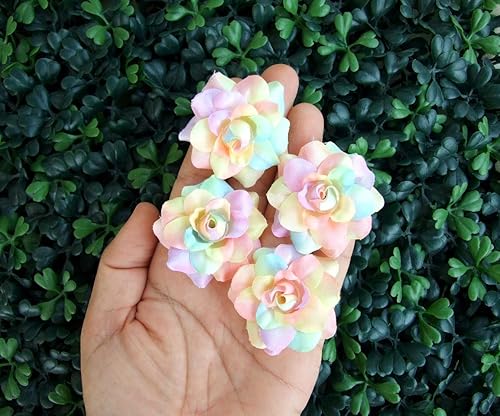 (50) Cabeza de flores artificiales de seda arcoíris tonos pastel rosas – 1.75 pulgadas – Cabeza de flores artificiales, suministros florales de