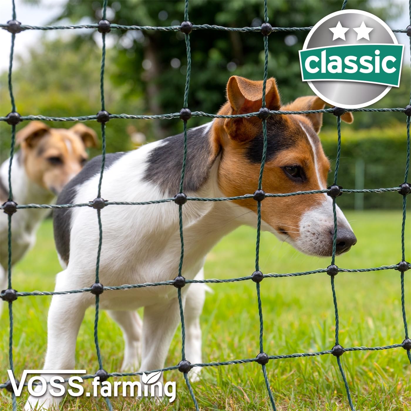 VOSS.farming Filet volaille classic 25 m x 112 cm, doté de 9 piquets doubles pointes, clôtures pour poules, Vert