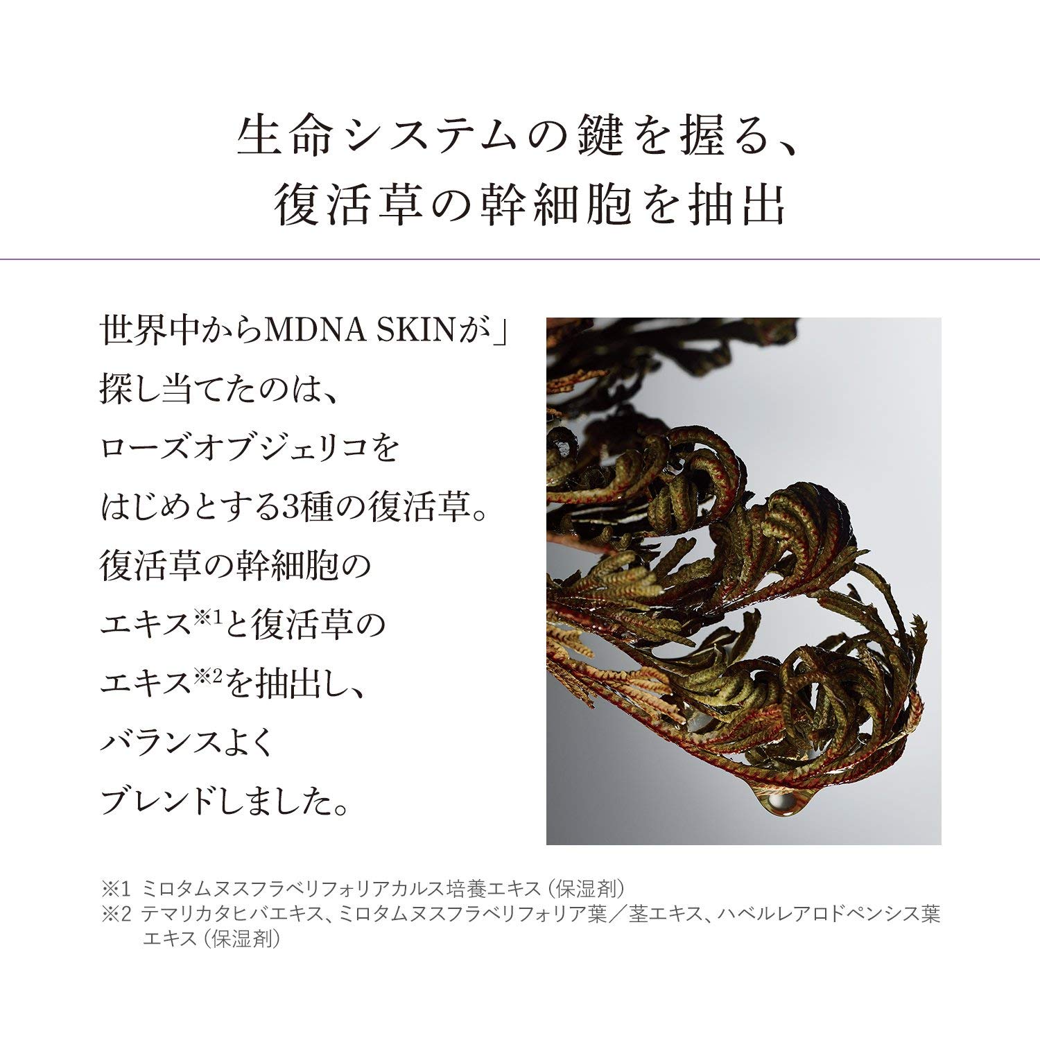 MDNA(エムディーエヌエー)／未開封新品 Amazon.co.jp: MDNA SKIN(エムディーエヌエースキン) THE REINVENTION