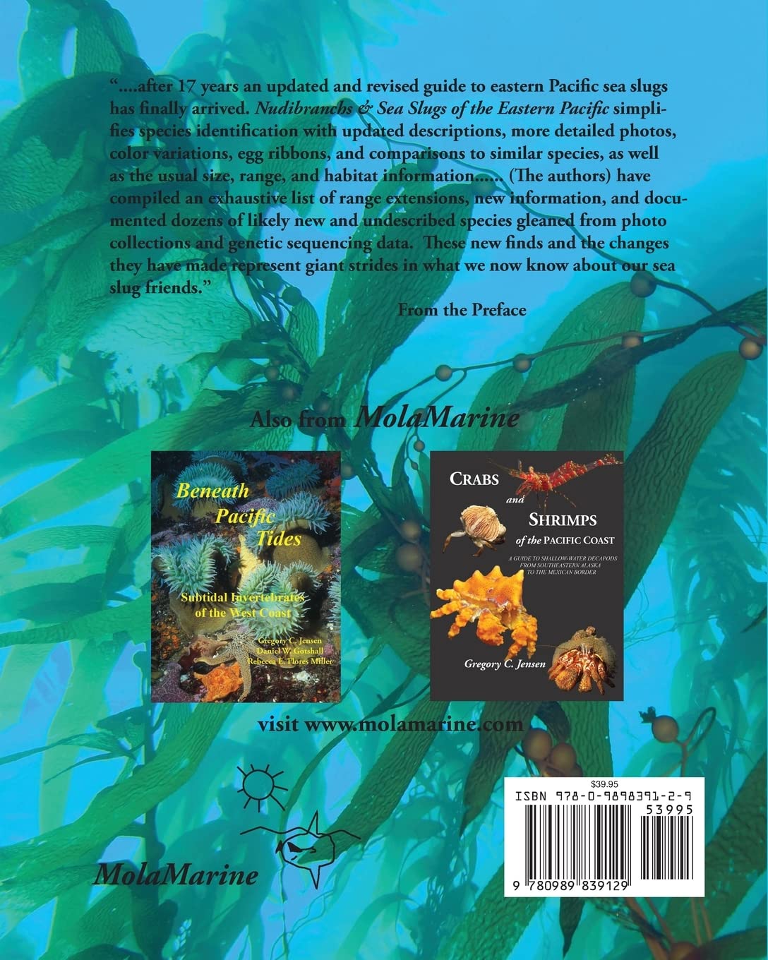 Nudibranchs & Sea Slugs of the Eastern Pacific