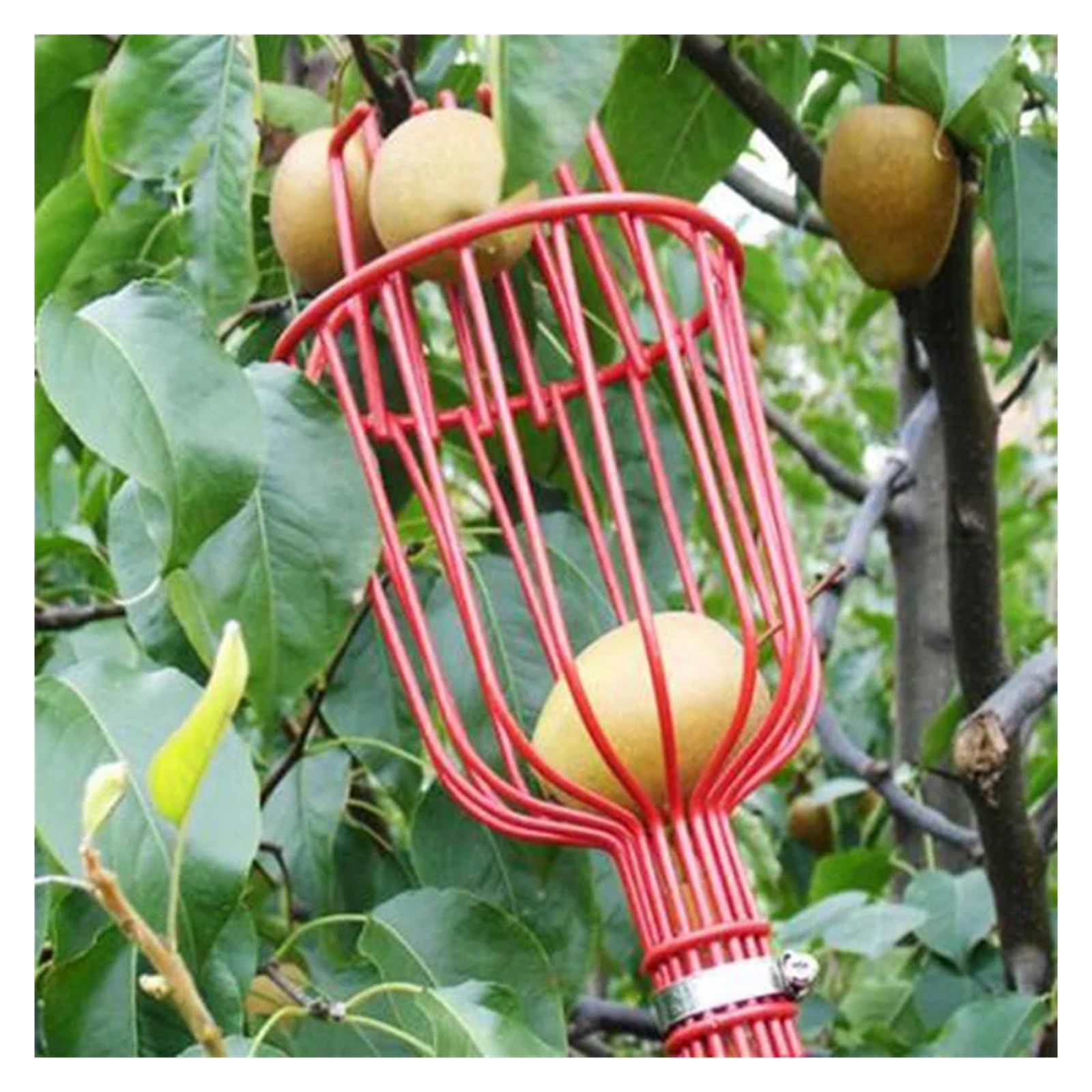 Obstpflückerkopf mit tiefem Korb, praktischer Auffangbehälter, kompatibel mit Apfel-Pfirsichpflücker, Bauernhof-Gartengeräte