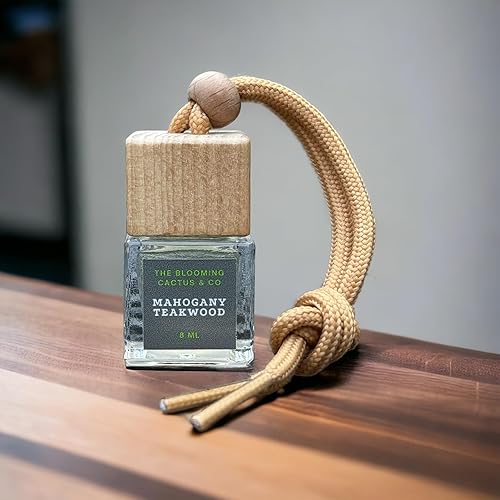 The Blooming Cactus & Co. - Car Diffuser with Refill included Car scented on the go Car Air Freshener Hanging Long Lasting Fragrance Phthalate