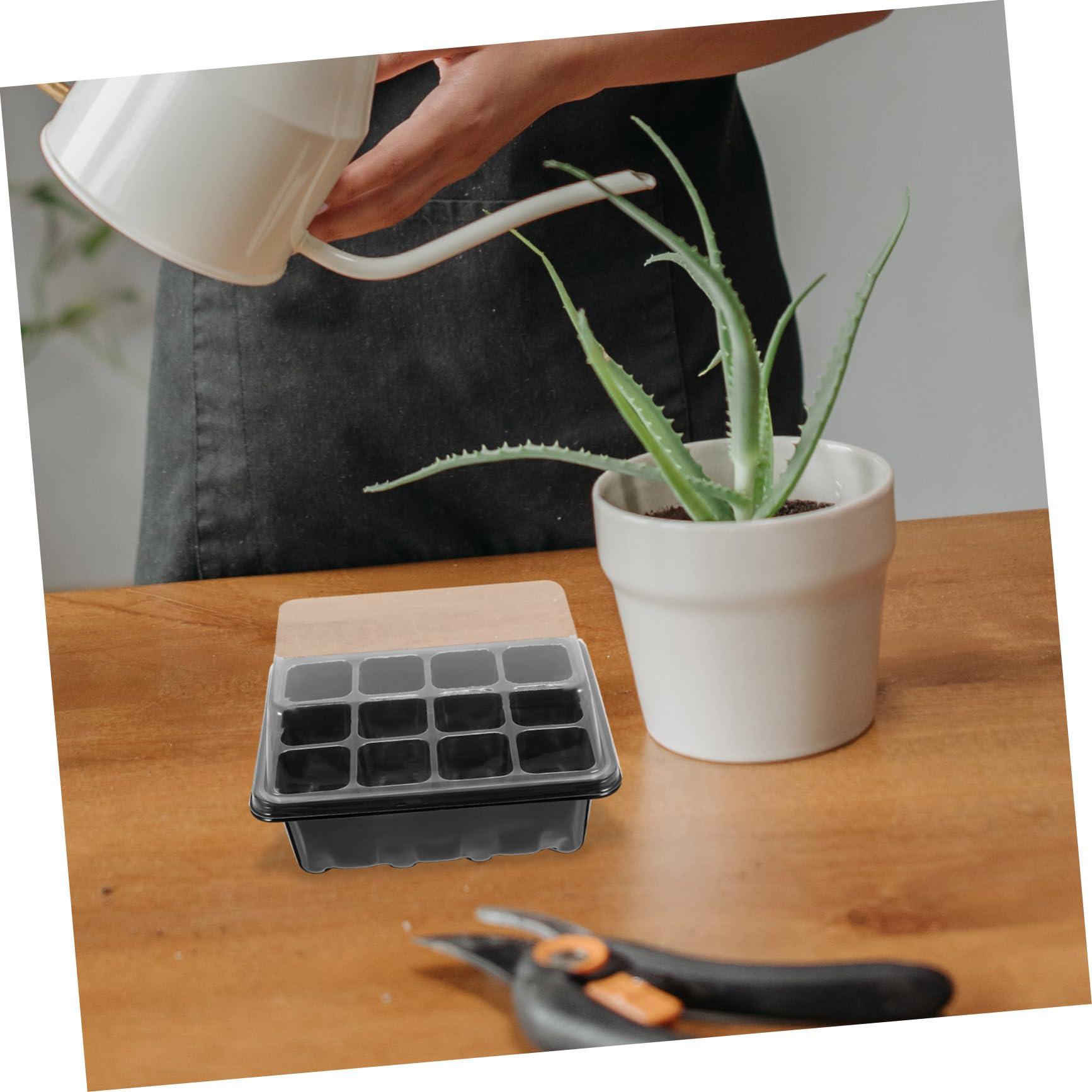 YARNOW 4 Juegos Caja De Plántulas Planta Semillas Kits De Cultivo De Micro Verduras Bandejas De Cultivo De Invernadero Bandeja De Siembra Bandeja De Maceta Bandeja De Germinación Inicio