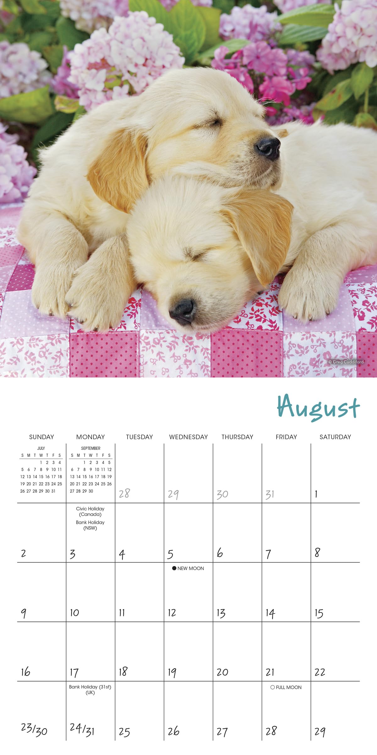 2026 Pooped Puppies Mini Calendar - Image 4