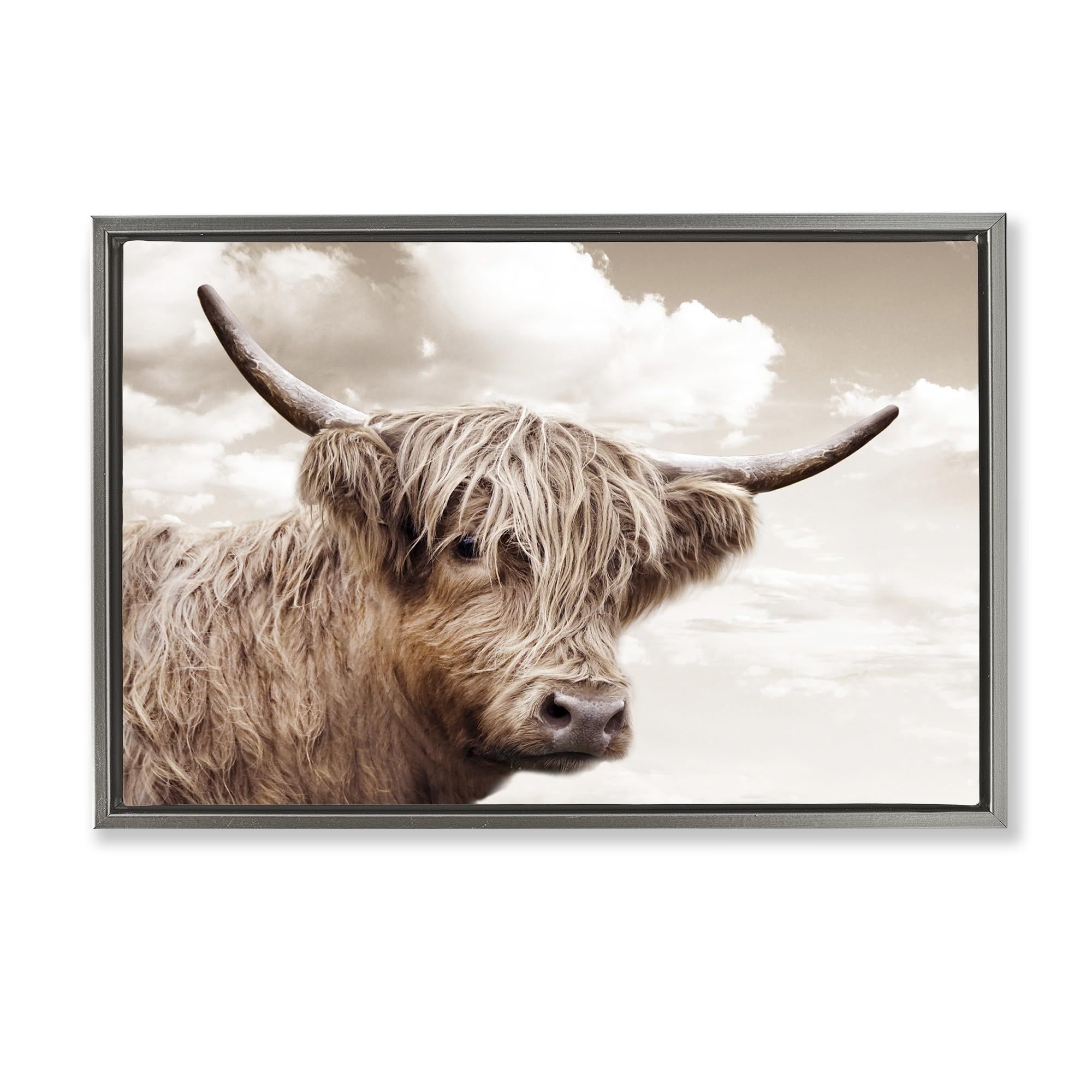 Stupell Industries 'Shaggy Highland Cow & Clouds', Floating Frame Canvas Art, Gray, 31 x 21 Inches, Easy to Hang and Sturdy, Made in USA, by CAD Designs