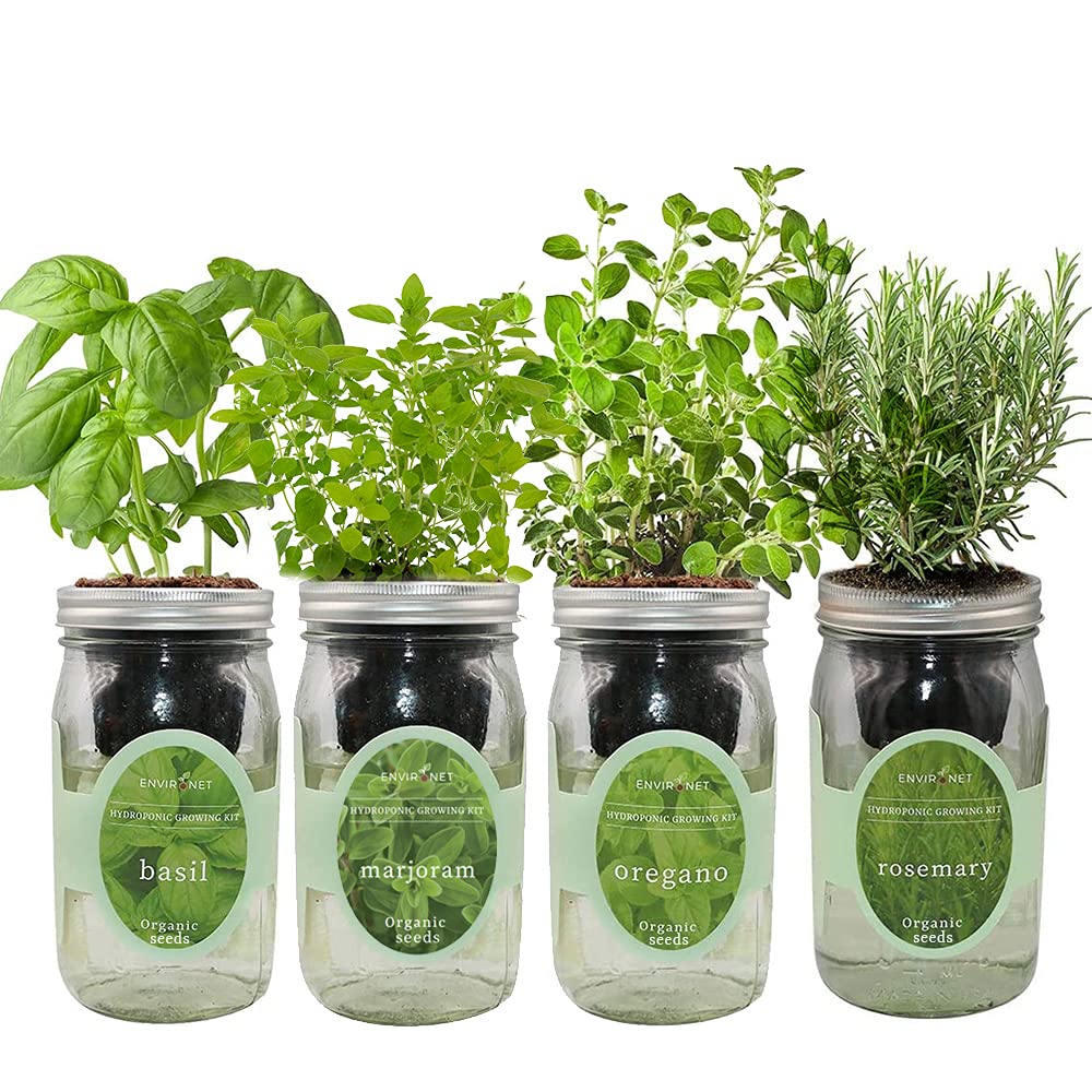 Hydroponic Mason Jar Indoor Garden Organic Seed Starter Kits - Italian Herb Blend Growing Kits, Windowsill Herb Garden, Gardening Gift (Basil, Marjoram, Oregano, Rosemary)