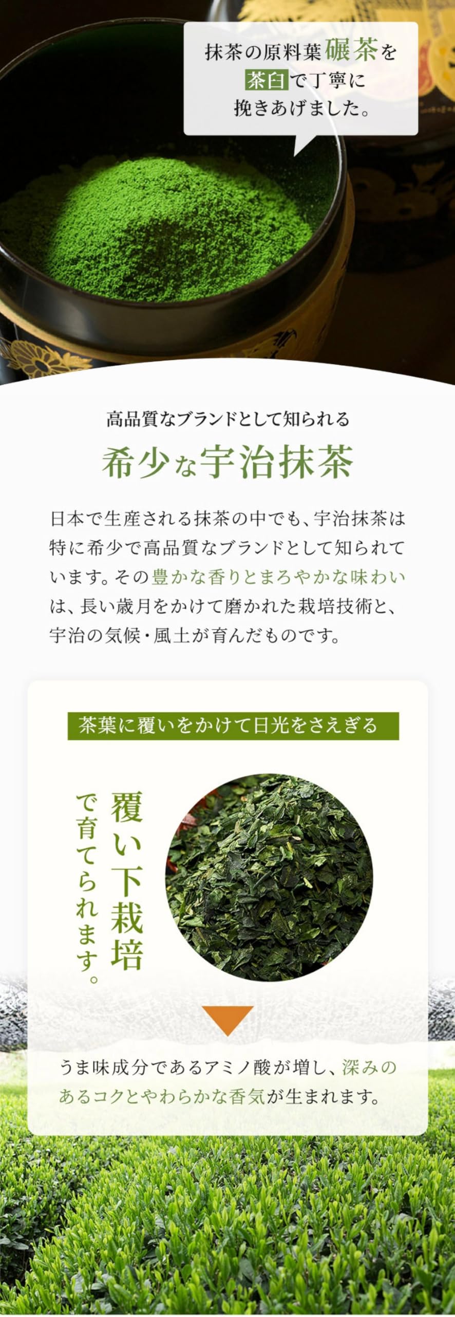Amazon.co.jp: 伊藤久右衛門 宇治抹茶 宇治みどり 20g 缶入 抹茶
