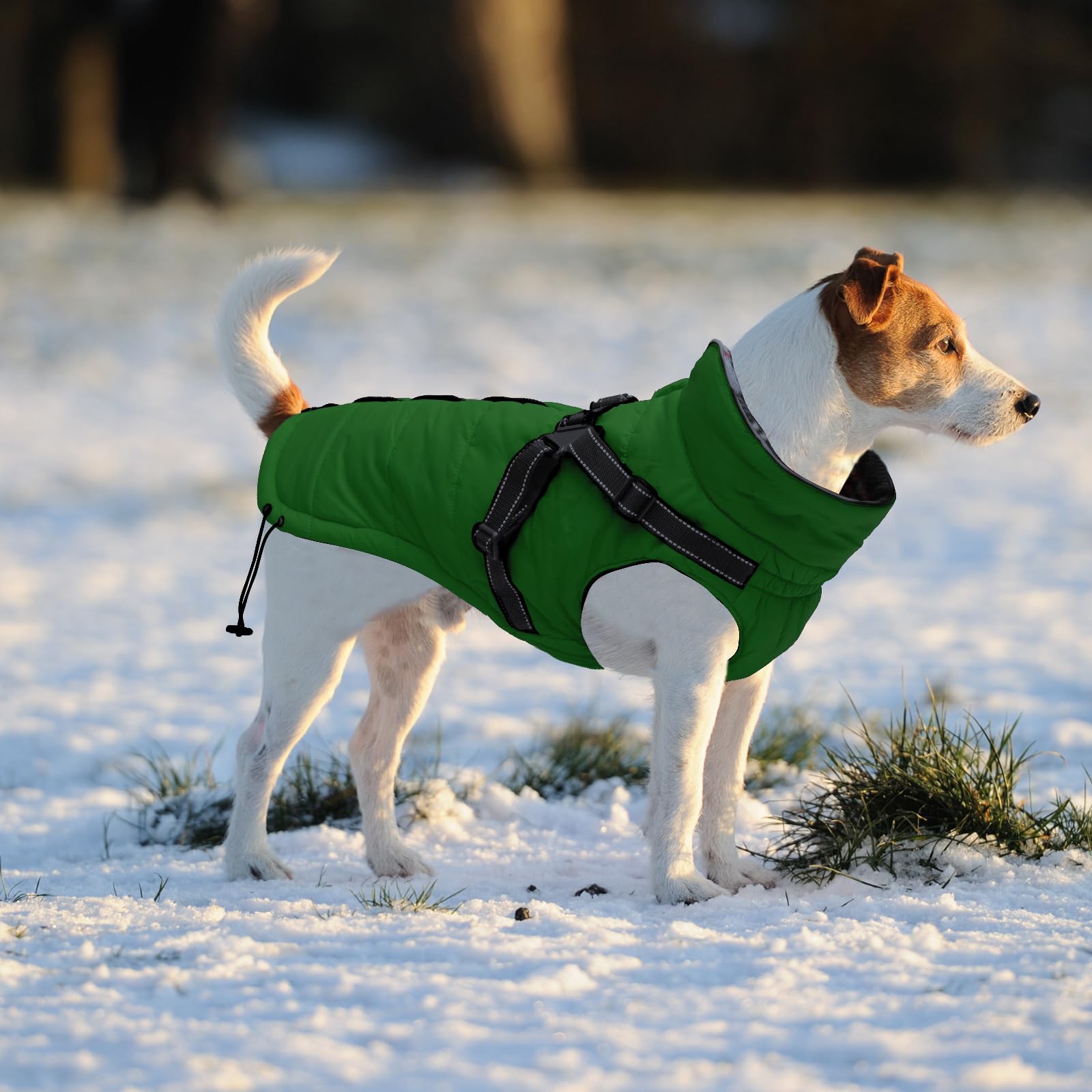 babepet Warm Pet Dog Coats with Harness,Waterproof Small Dog Jacket Coat,winter Dogs Clothes with Chest Strap,Zip Up Puppy Coat for Outdoor Walking-Green-S - Image 2