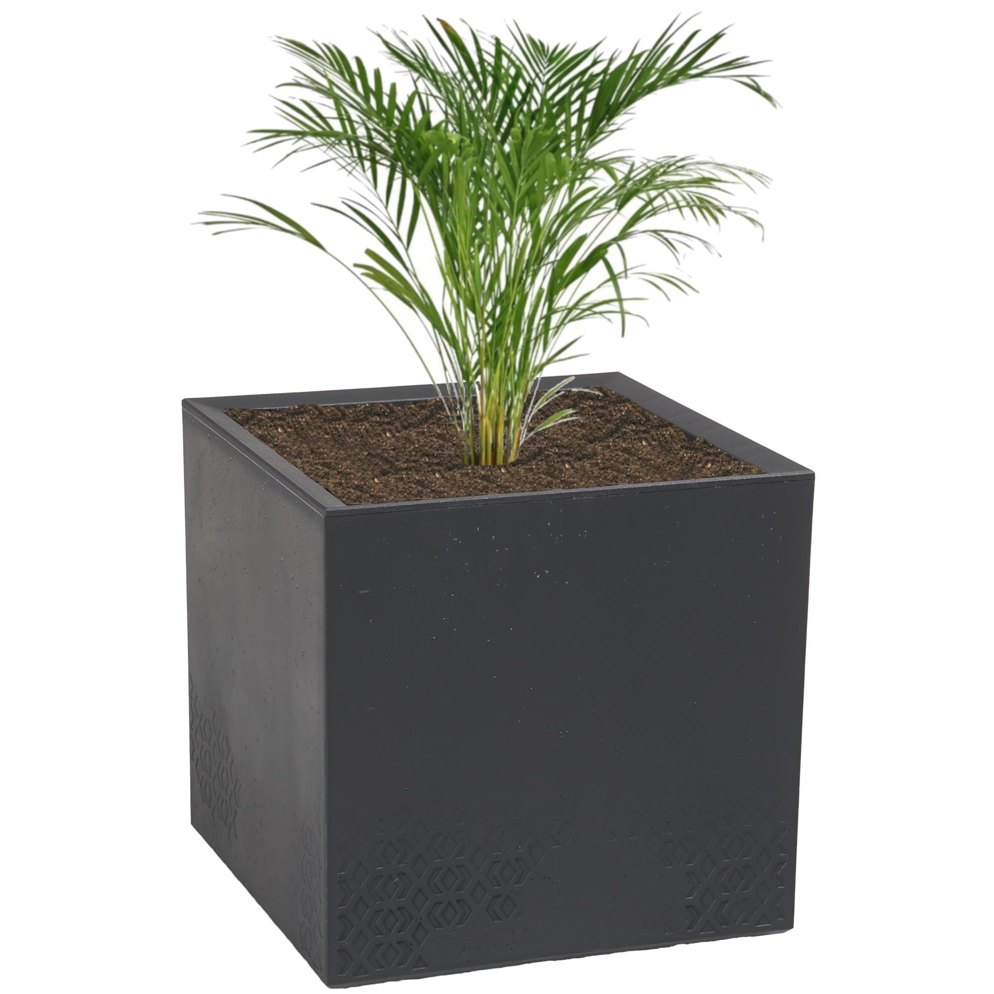 botle Blumentopf Blumenkste Wetterbestndig Blumenkbel in stilvoller  Betonoptik Anthrazit Quadratish Mae 40x40cm Hhe 39cm mit Rollen 36L ...