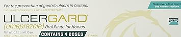 UlcerGard omeprazole Oral Paste Syringe 6.15 gm