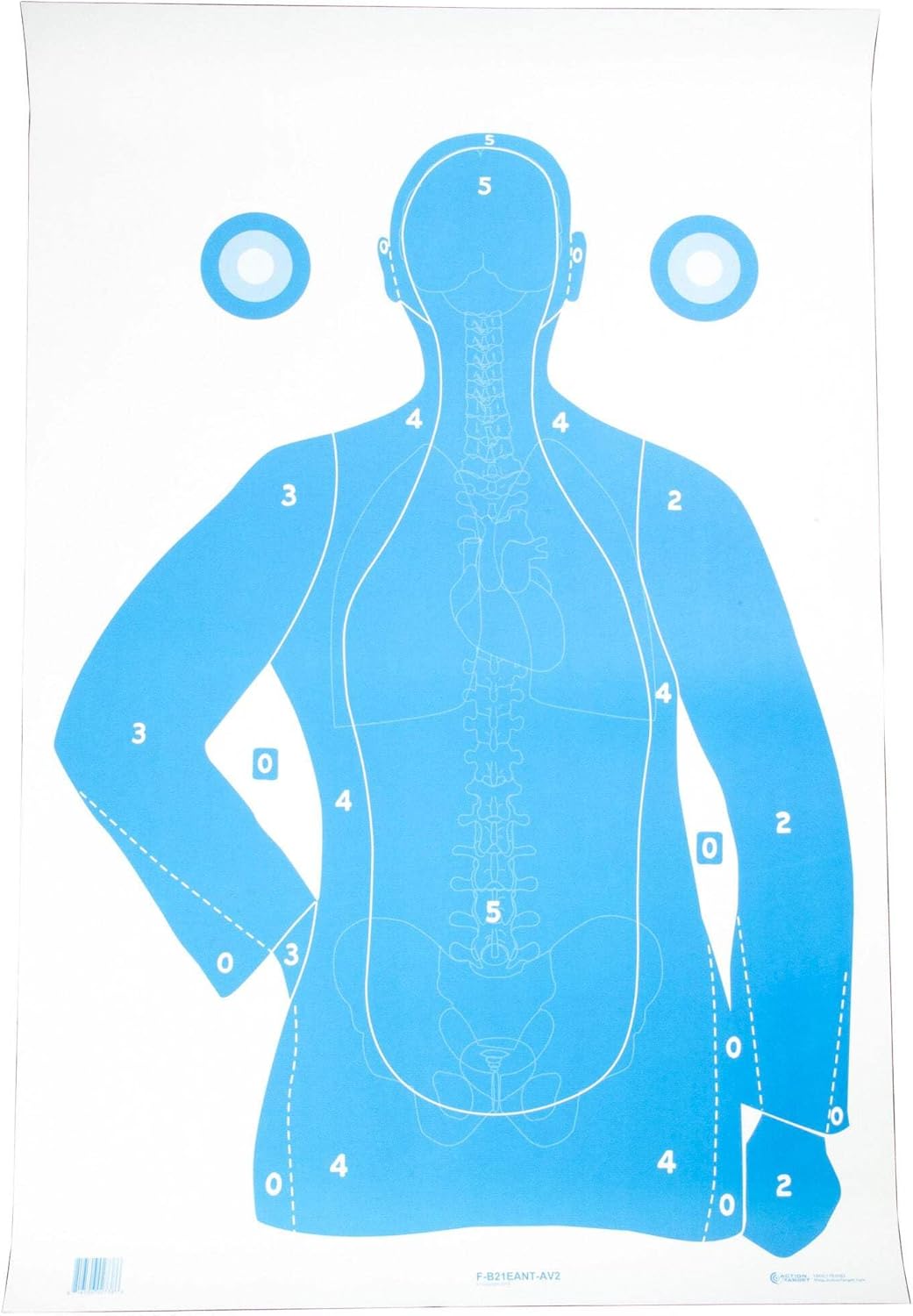 Action Target B-21E Blue w/Anatomy Scoring, Pack of 100, Blue, F-B21EANT-AV2