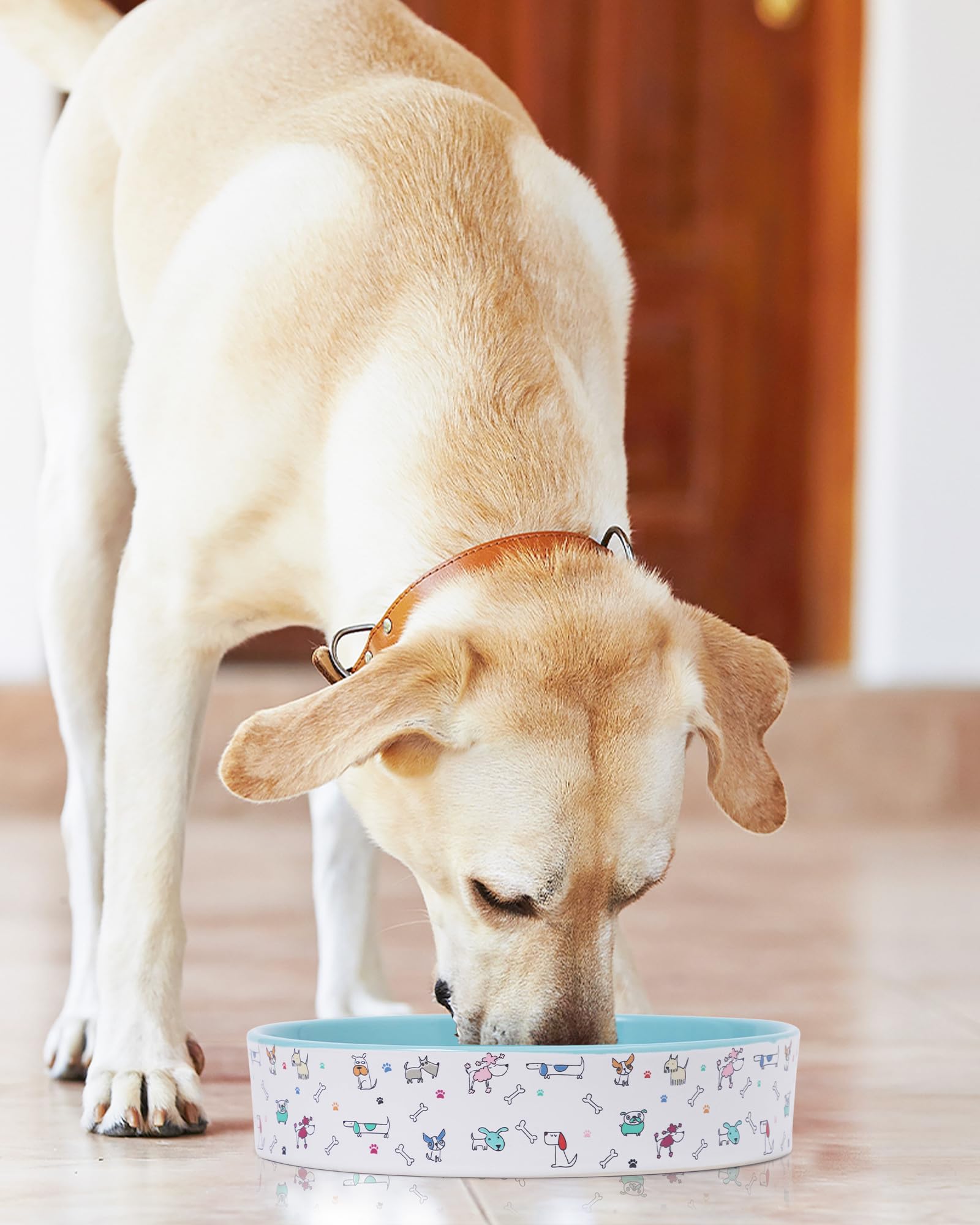 Cuenco de cerámica de alimentación lenta para perros, 1.5 tazas, cuenco de alimentación lenta para perros de razas pequeñas y medianas, cuenco de comida para perros para comedores rápidos,